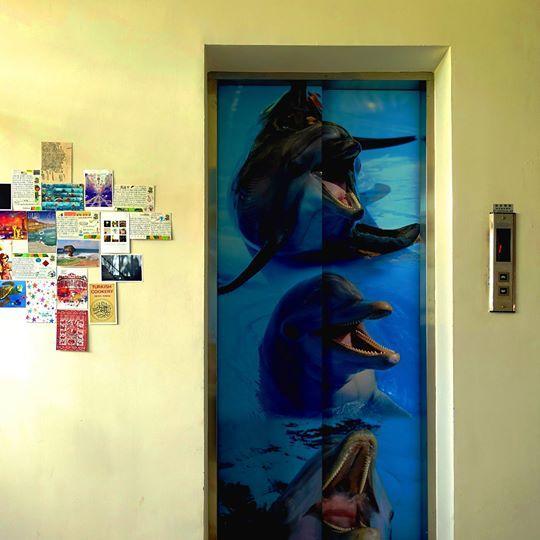 Bed and Breakfast Dolphin Castle Donggang Esterno foto