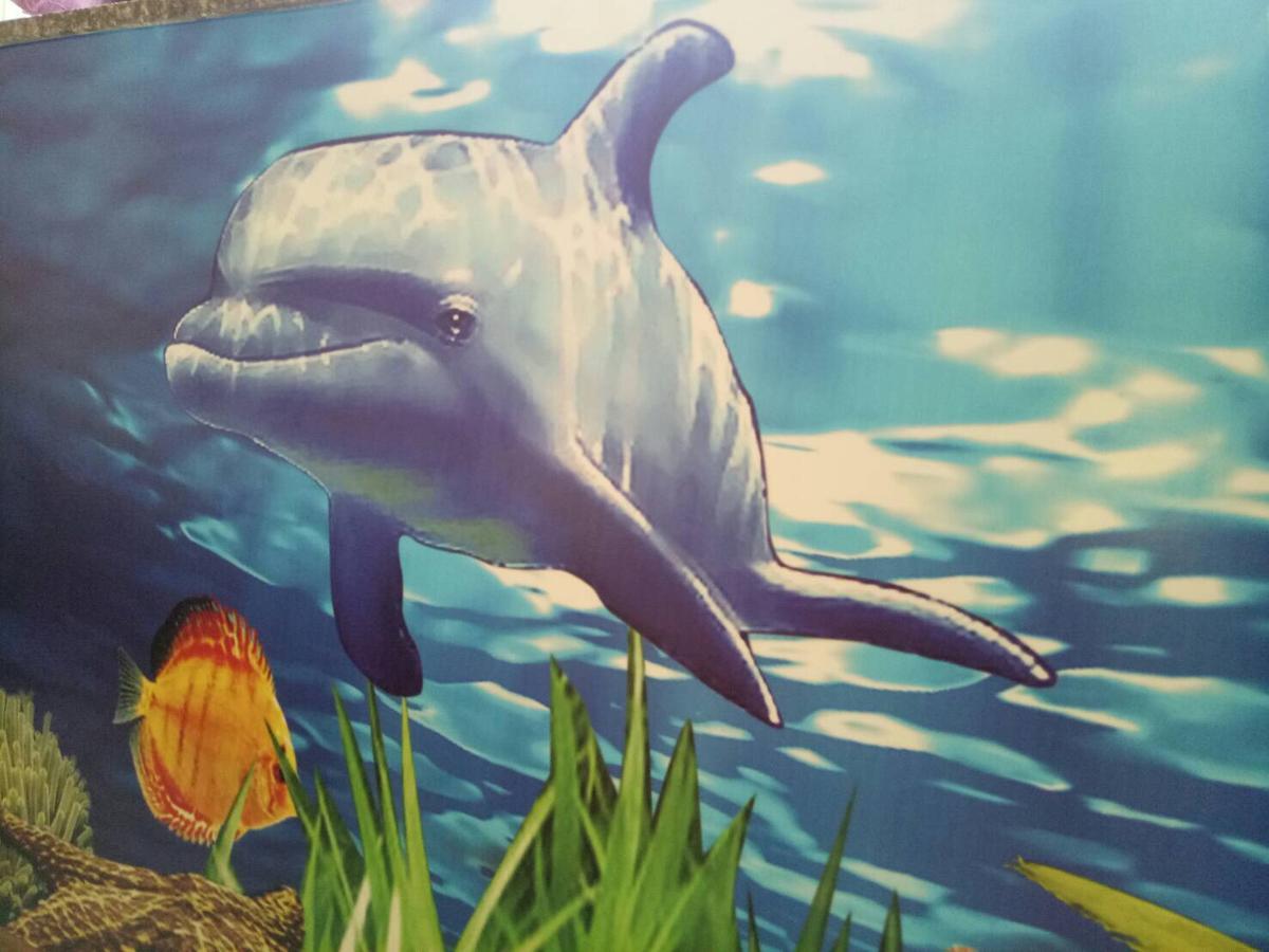 Bed and Breakfast Dolphin Castle Donggang Esterno foto